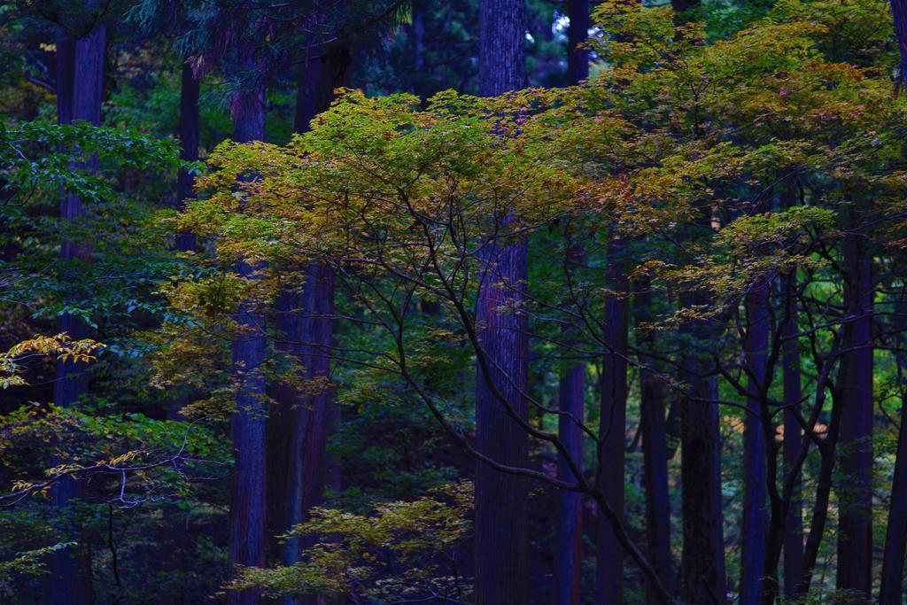 Nikko Pension L'Escale Exterior foto